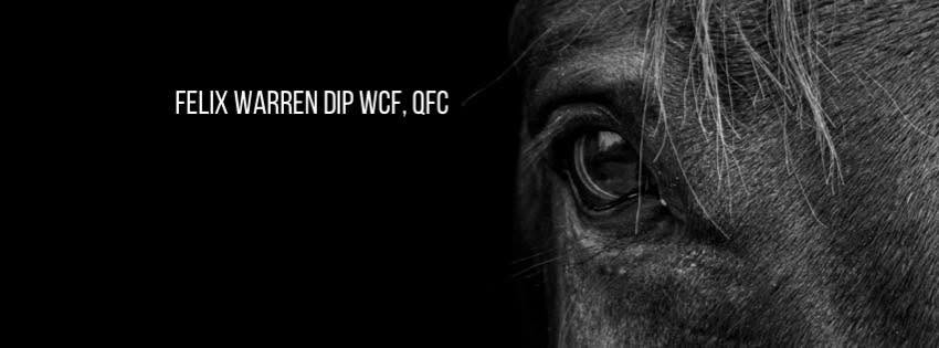Felix Warren DipWCF, QFC — Felix The Farrier
